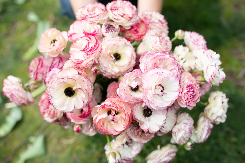 Find local flowers for Mother’s Day through Floret's FarmerFlorist