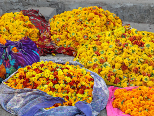Market flowers Patterns of India