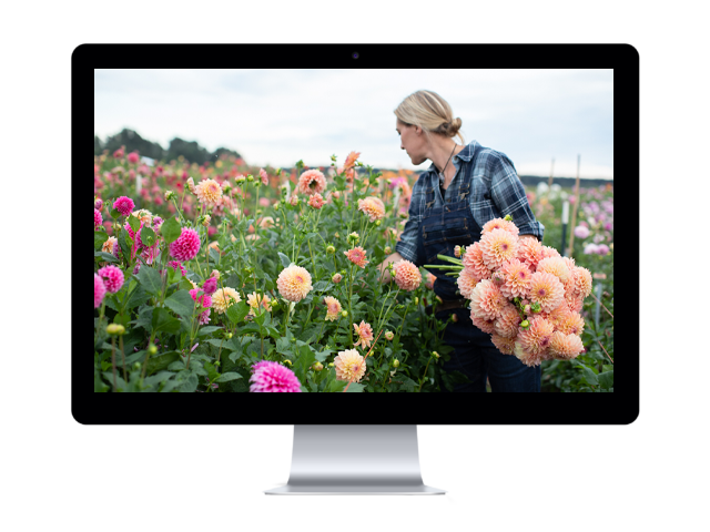 Floret Online Workshop computer screen graphic