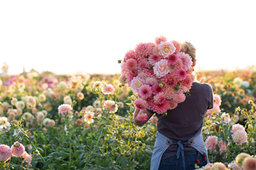 Floret's Favorite Books - Floret Flowers