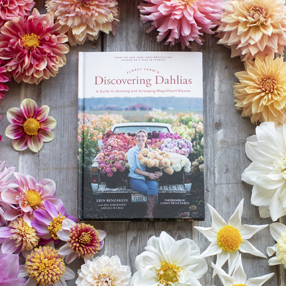 Discovering Dahlias - Floret Flowers