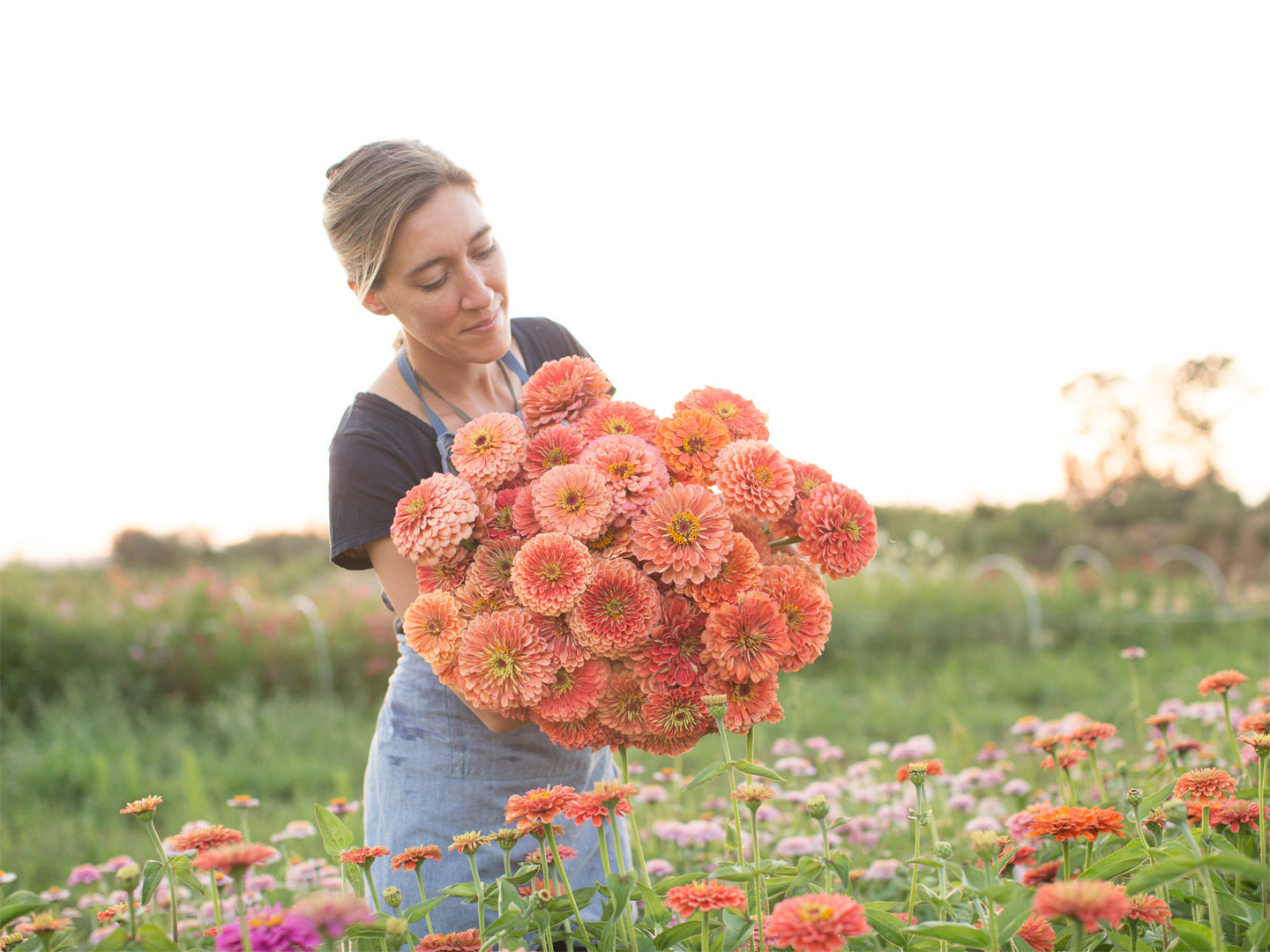 Erin Benzakein with an armload of zinnias in the Floret field
