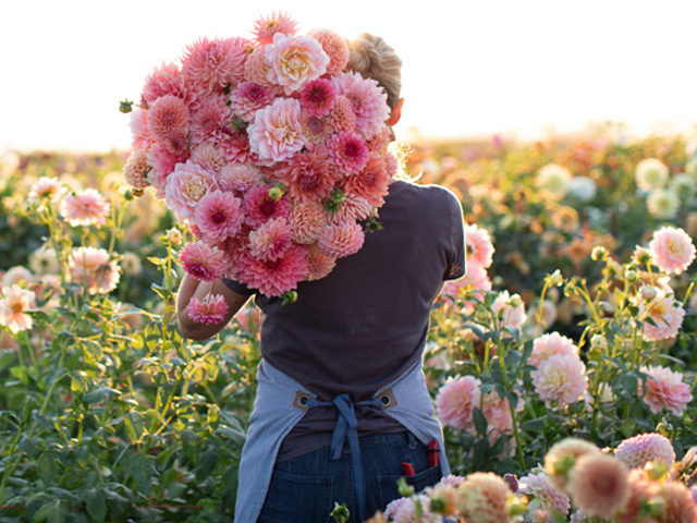 Tools of the trade: 7 essential farmer-florist tools to snip, chop, prune  and lop - Floret Flowers