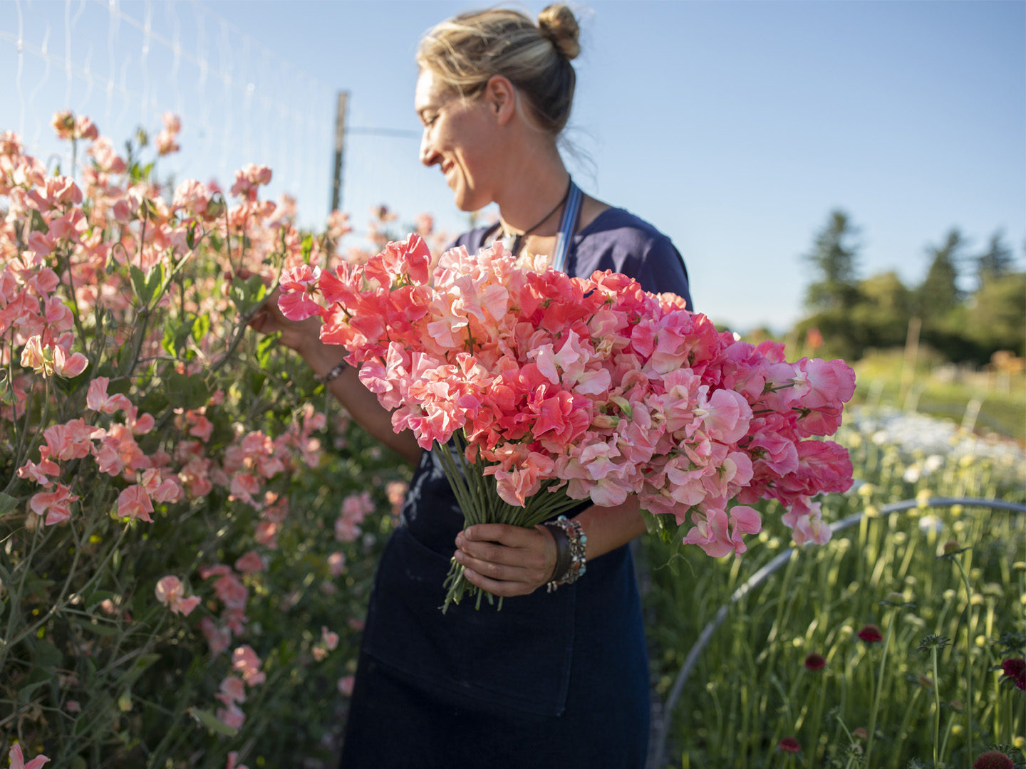 Erin Benzakein with a handful of sweet peas in the Floret field