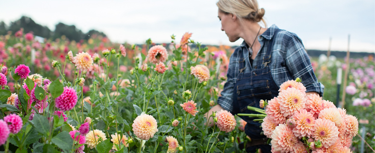 Floret Floret Flowers Flower Small Scale Farm