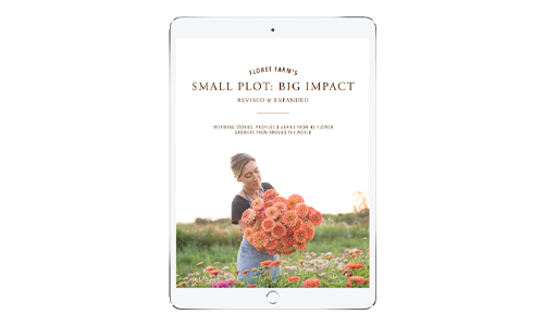 Floret Farm's Small Plot: Big Impact