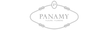 Panamy logo