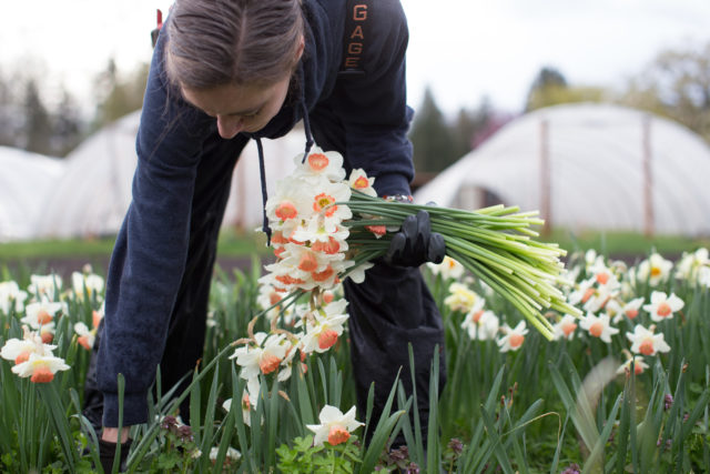 Floret S Favorite Things Floret Flowers