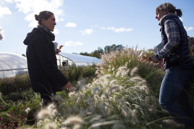 Erin Benzakein visiting Johnny's Selected Seeds