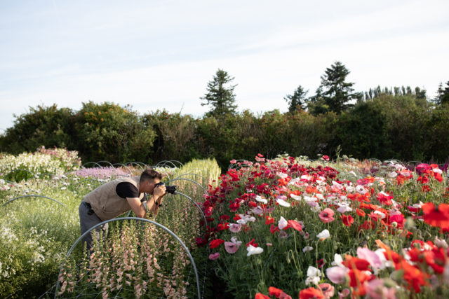 Floret S Favorite Things Floret Flowers Floret S Favorite Things Floret Flowers