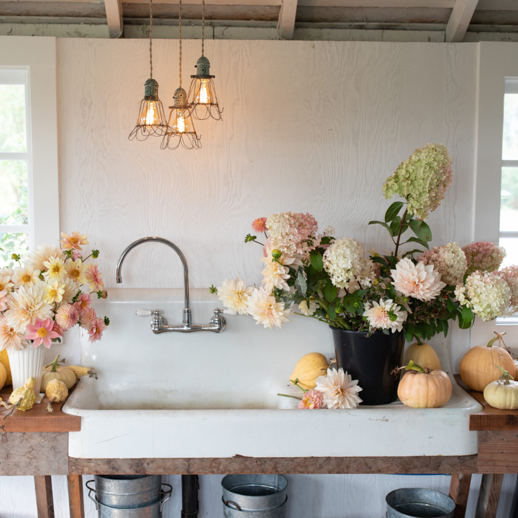 Floret Flowers We are a small family farm in Washington's Skagit Valley