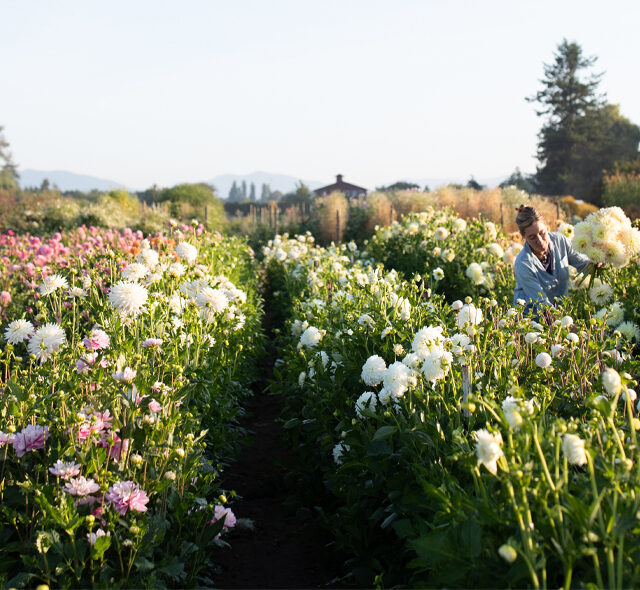 Floret's Favorite Books - Floret Flowers