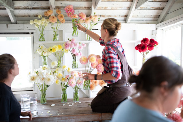 Discovering Dried Flowers - Floret Flowers