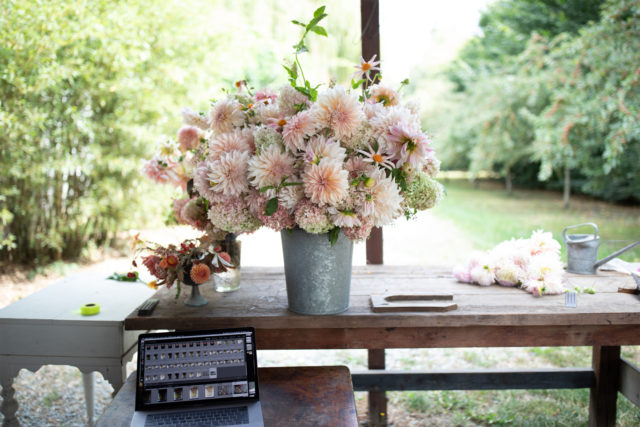 dahlia arrangement set up