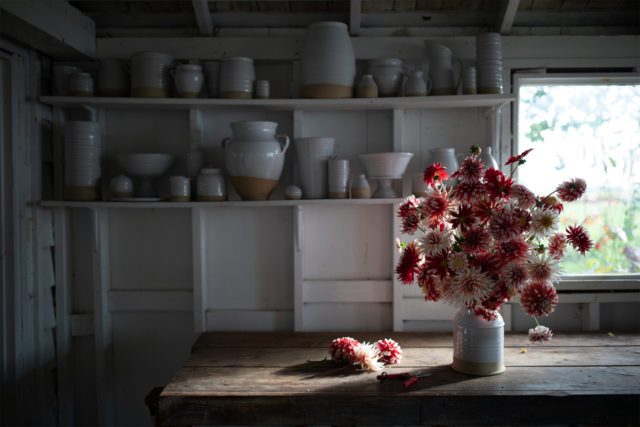 dahlia arrangement in the fading sunlight of the floret studio