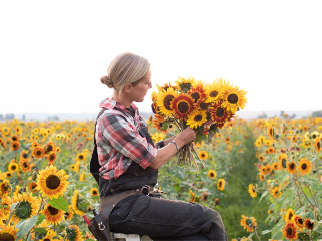 Erin Benzakein in a 6-acre field of sunflowers at Gordon Skagit Farm