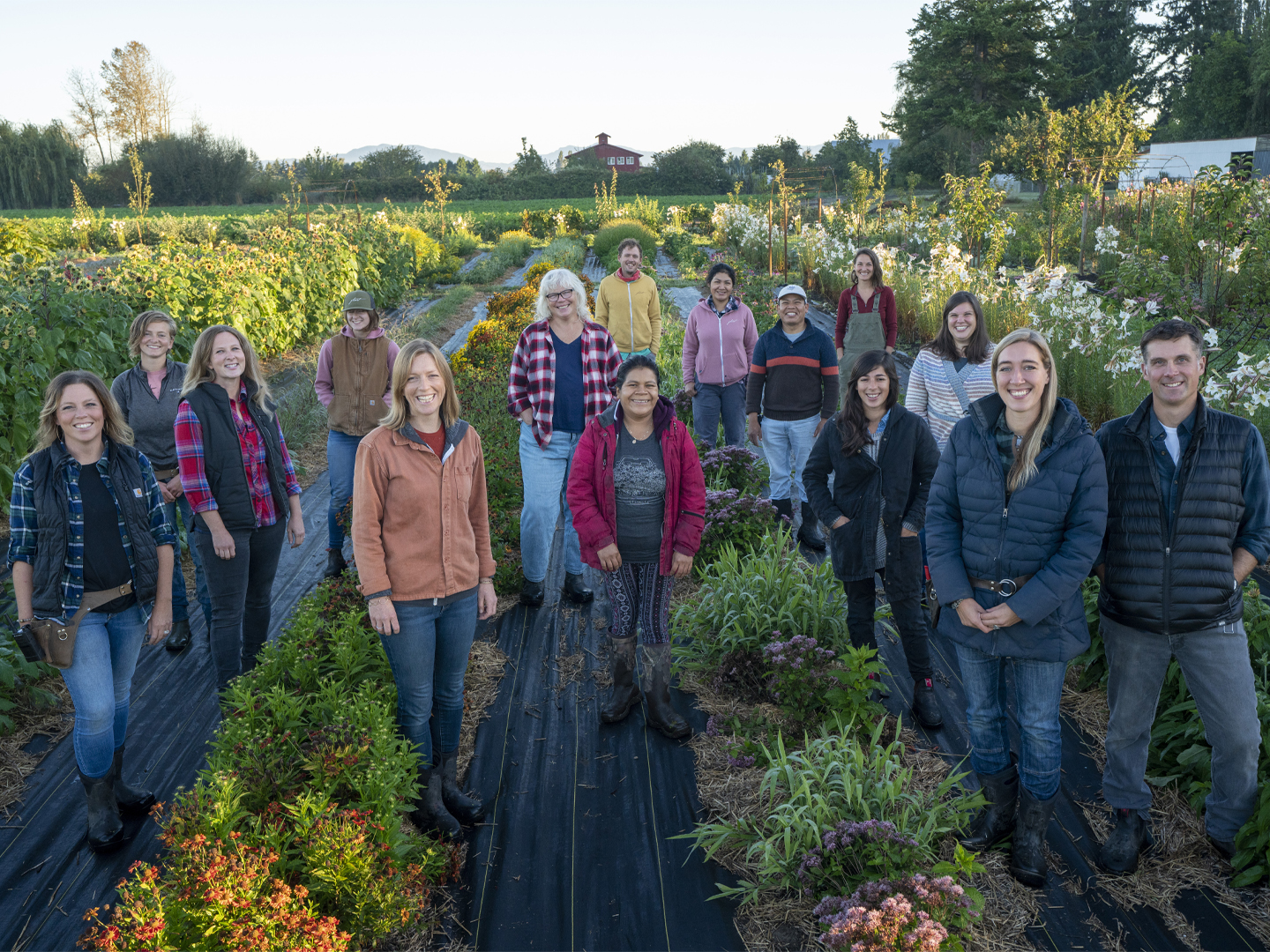 Overhead of Erin Benzakein, Chris Benzakein and the Floret team on their farm