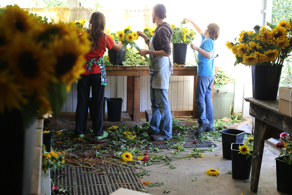 The Story of the Floret Workshops Part 1