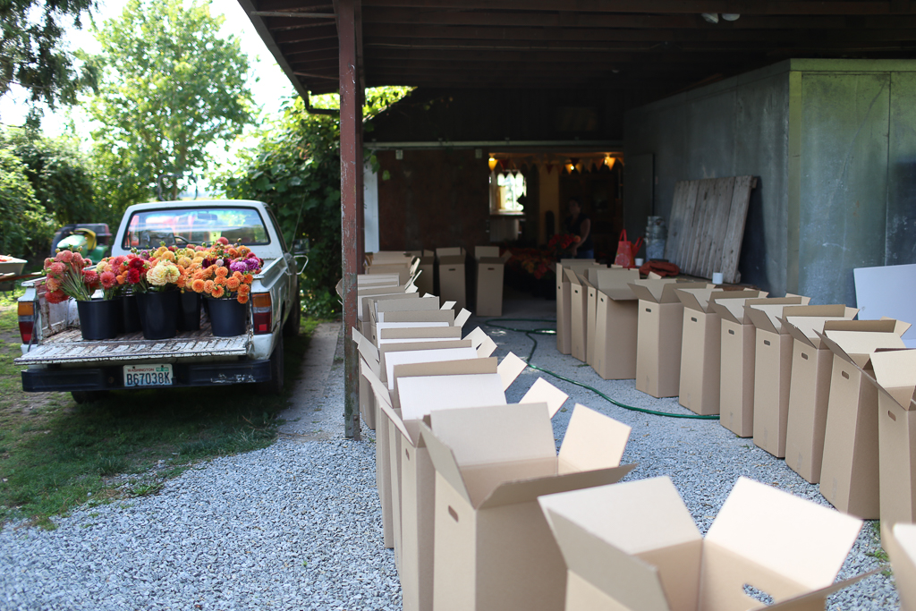 Rows of boxes for packing Floret flower orders