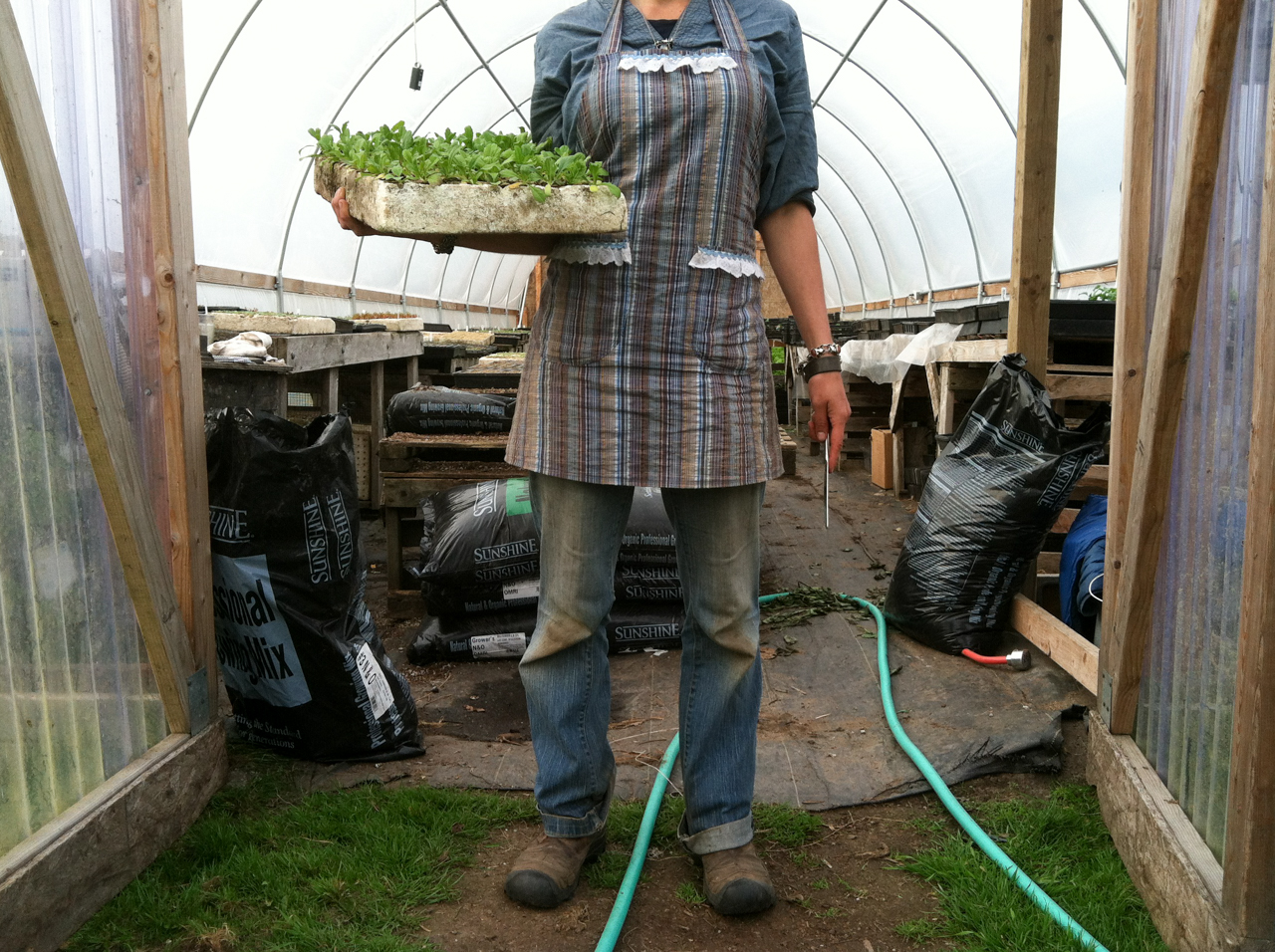 Erin Benzakein sostiene una bandeja de plántulas frente al invernadero