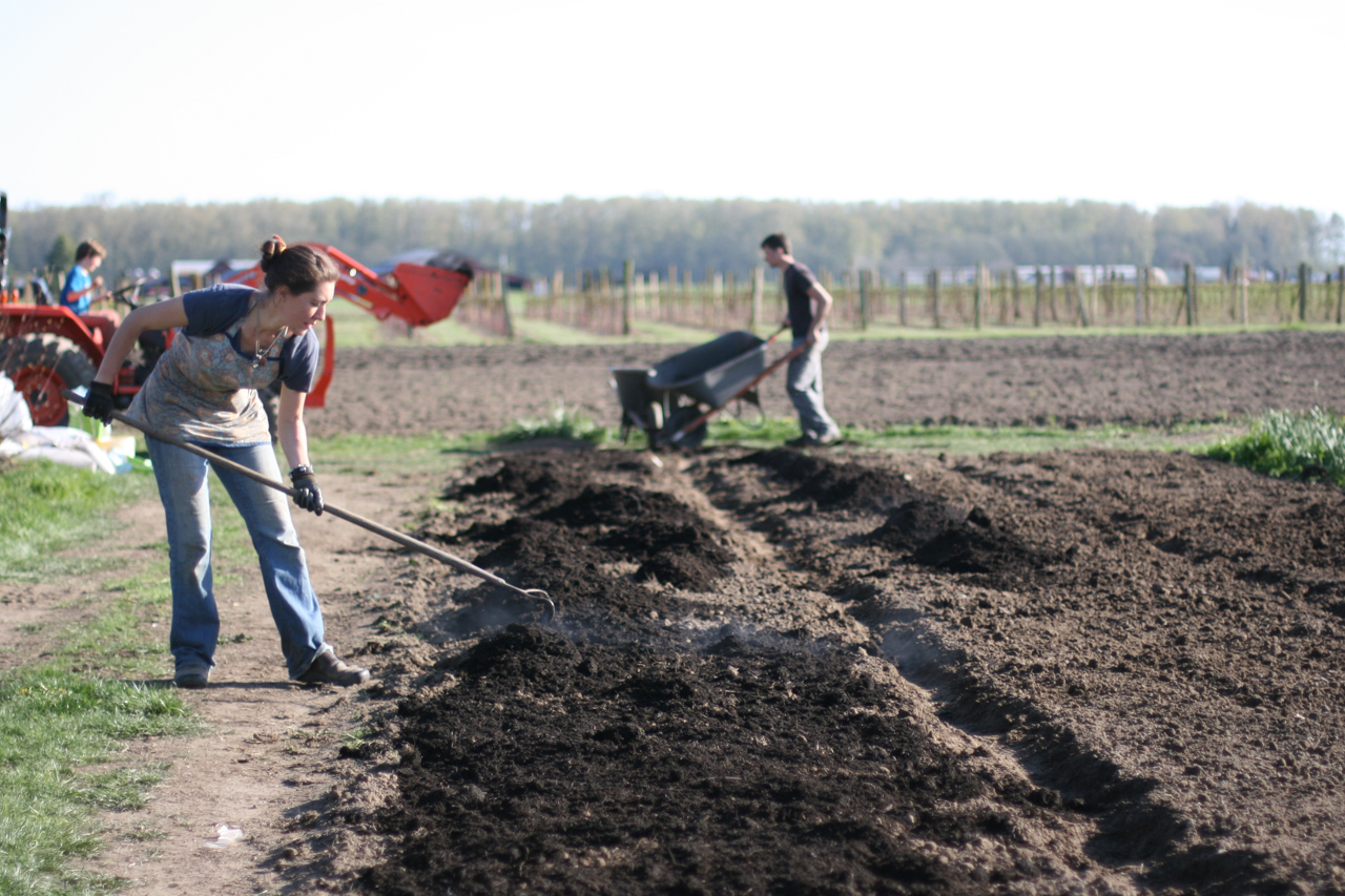 Erin Benzakein rastrilla compost en la finca