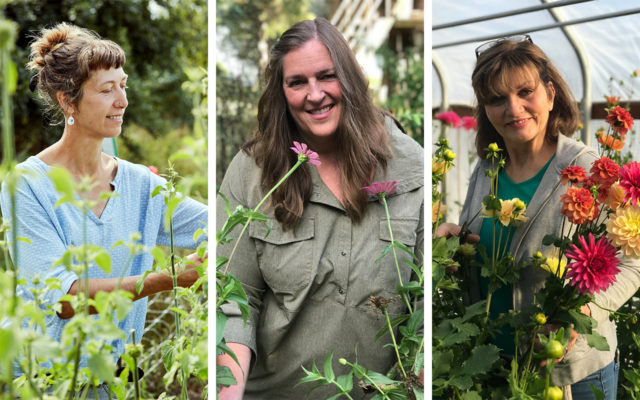 Collage photo of three 2022 Floret Scholarship winners