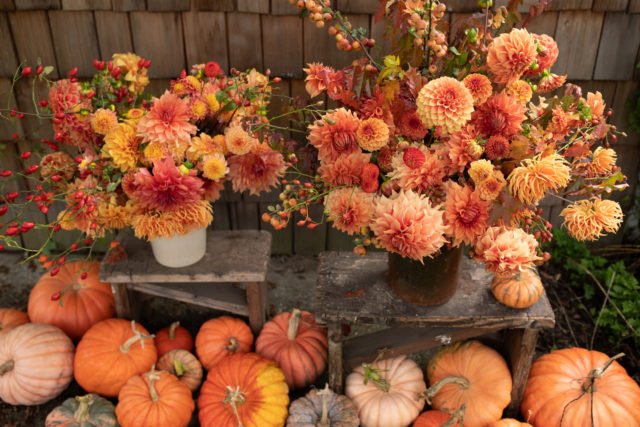 Orange-toned dahlia arrangements with heirloom pumpkins at Floret Farm.