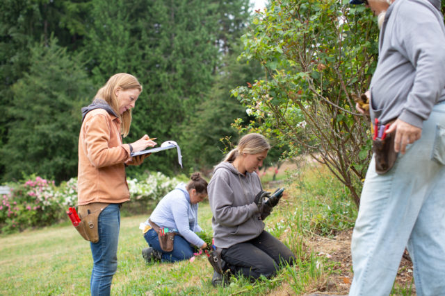 El equipo Floret visita los jardines de rosas de Anne Belovich e intenta identificar plantas