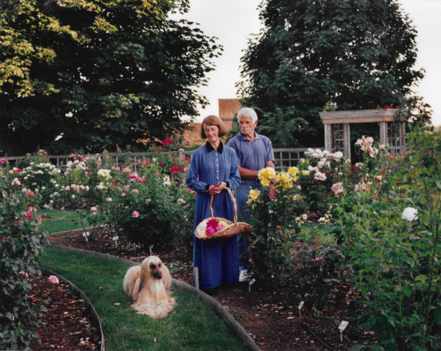 Celine's series of old flowers this year, whether under the arm