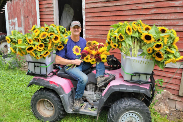 Steve Kaufer surrounded by sunflowers