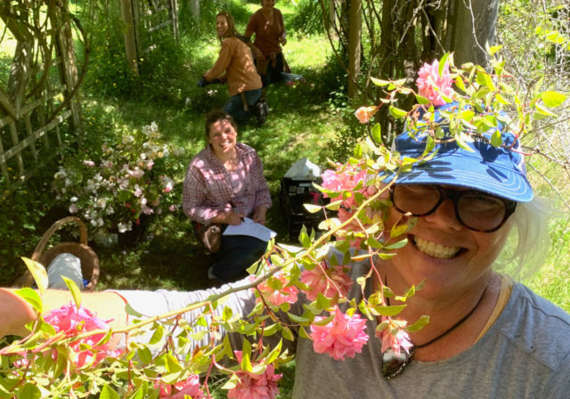 تیم فلورت از باغ های رز آن بلوویچ بازدید می کند
