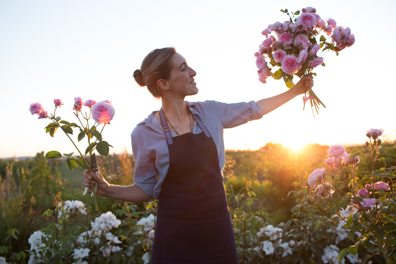 Erin Benzakein holds up handfuls of roses in the Floret field at sunset