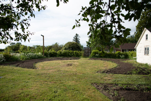 The formal rose garden takes shape at Floret