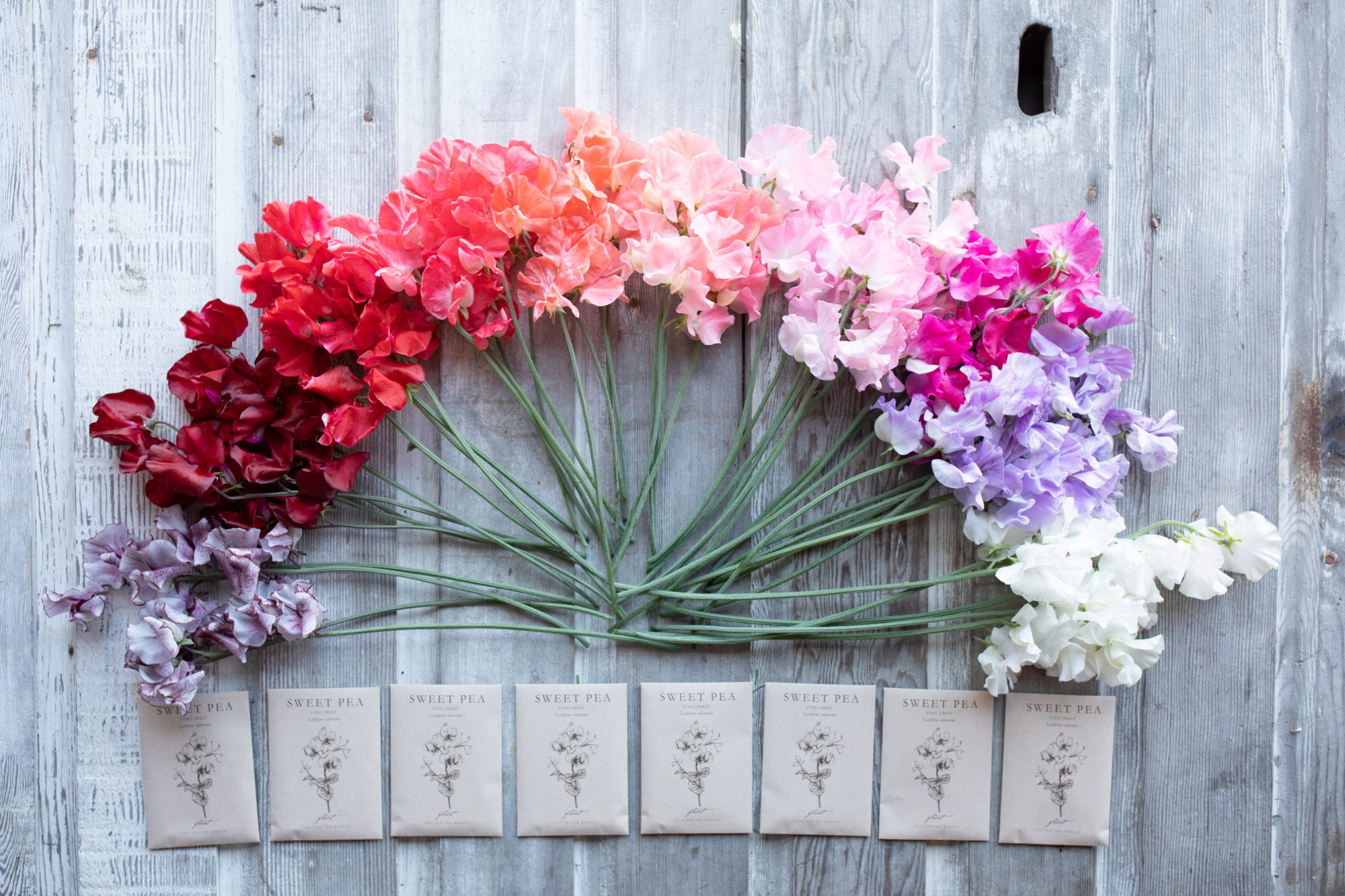 Seed Selling Questions Answered Floret Flowers Garden pond