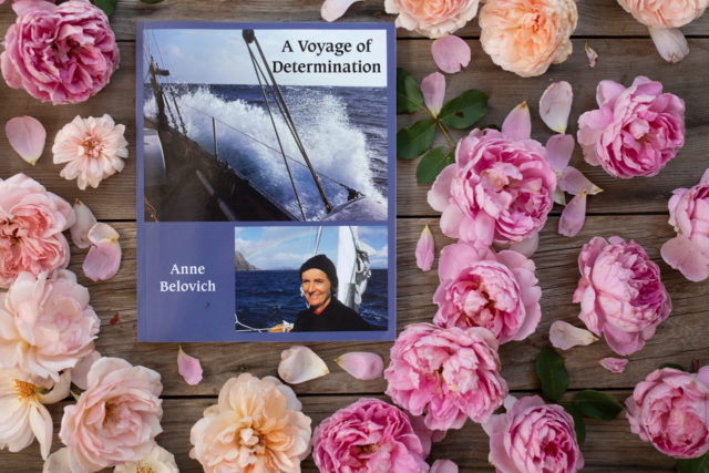 Overhead of Anne Belovich's book, A Voyage of Determination surrounded by rose blooms