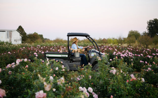 The {Farmer} & the Florist Interview: Felicia Alvarez - Floret Flowers