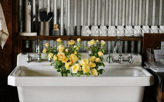 Yellow roses in a farmhouse sink