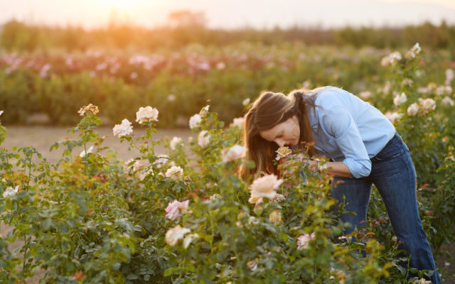 Felicia Alvarez smells roses in the field at sunset