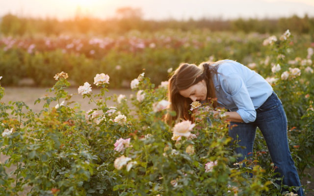 The {Farmer} & the Florist Interview: Felicia Alvarez - Floret Flowers