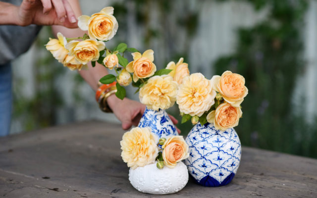 EASY CENTERPIECE: GLOBE OR CYLINDER WITH AN OCEAN OR BEACH THEME — Martie  Duncan