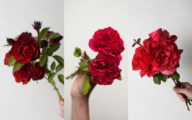 The {Farmer} & the Florist Interview: Felicia Alvarez - Floret Flowers