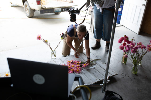 Erin Benzakein sets up an overhead breeding dahlia shot