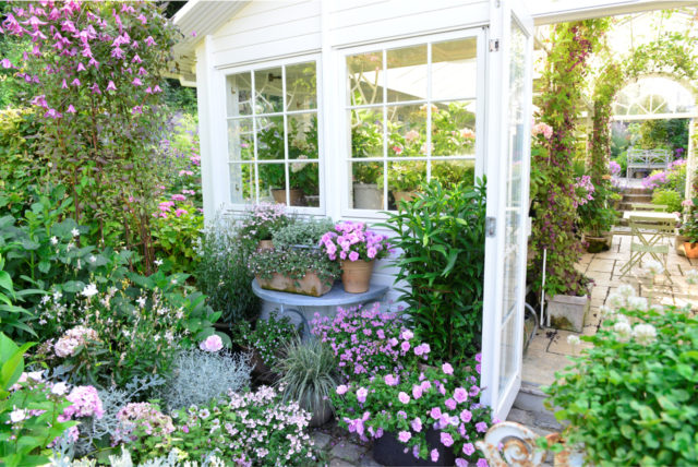 Klaus Dalby's garden and greenhouse
