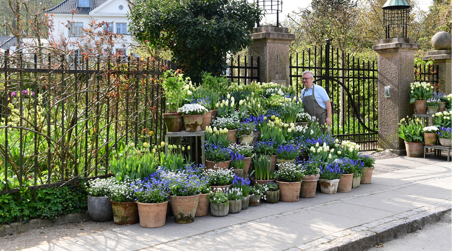 Garden Bucket Caddy - Buy Online at Annie's Annuals