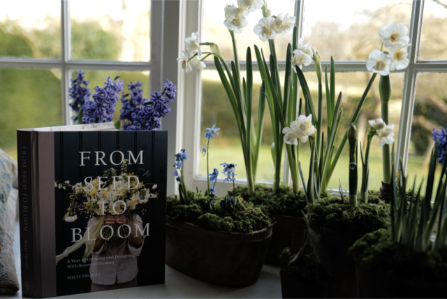 From Seed to Bloom book on windowsill