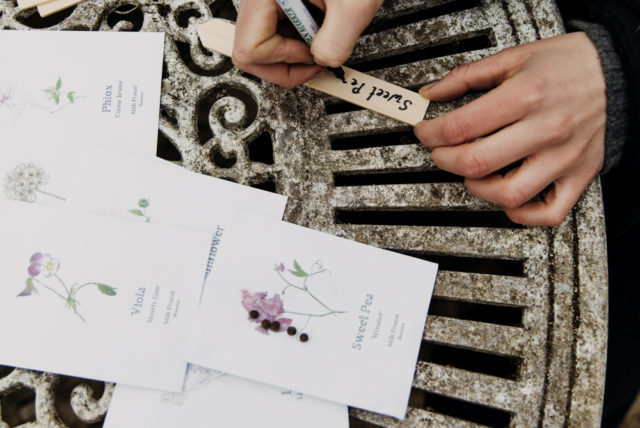 Milli Proust writing seed labels