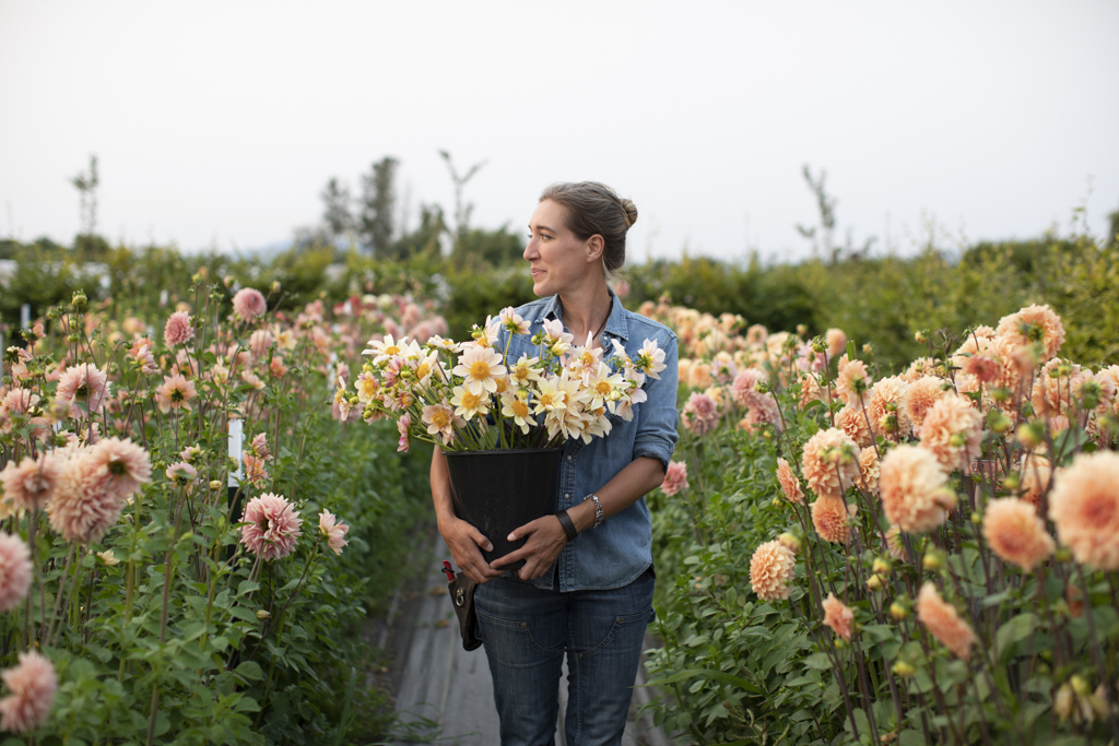 Erin Benzakein holds a bucket of dahlias in the Floret field