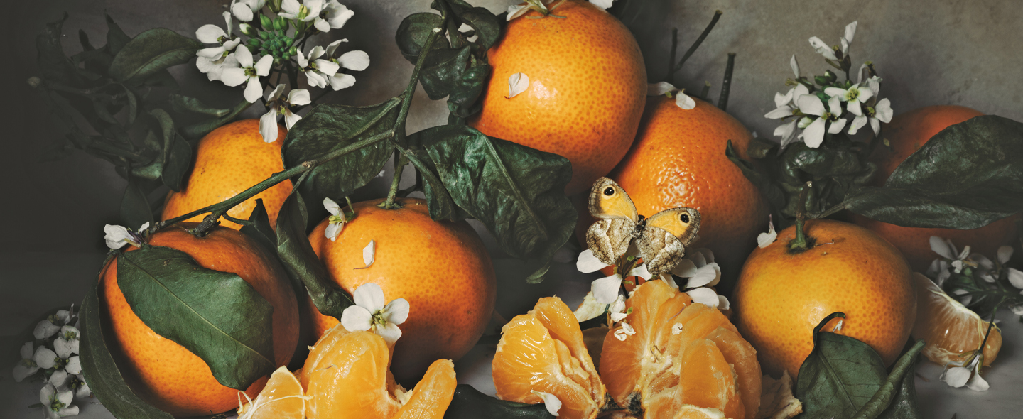 Oranges, flowers, and butterflies still-life photo