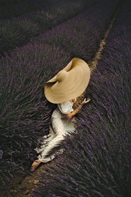 Jamie Beck lying in a field of wild lavender