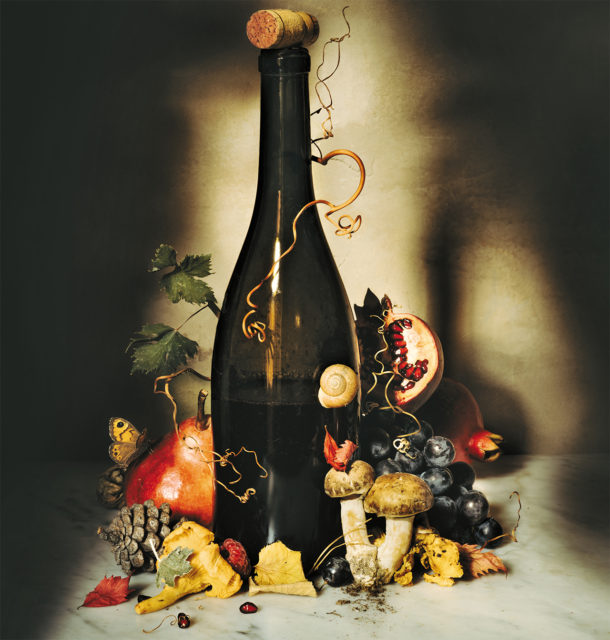 Still-life photograph of a wine bottle and fruit